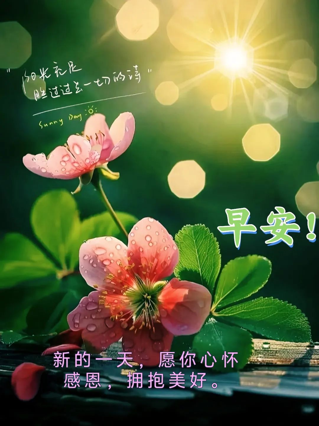 情真意切的早安祝福语唯美句子,最新漂亮的早上好问候图片带字