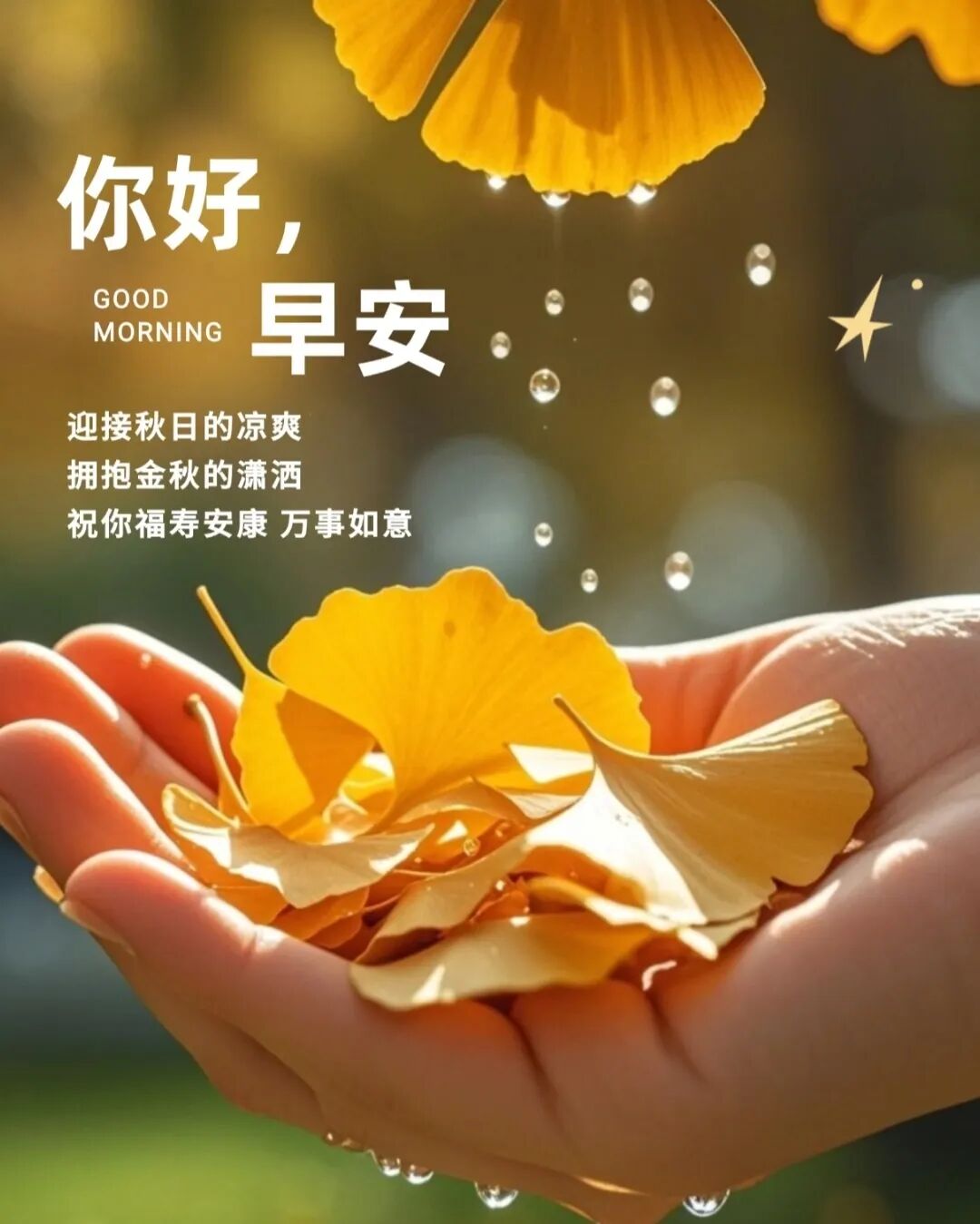 清晨漂亮的唯美早安祝福图片,最新早安问候祝福暖心句子