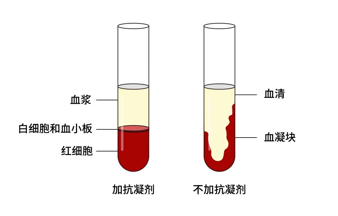 收藏!一文带你认清血清与血浆