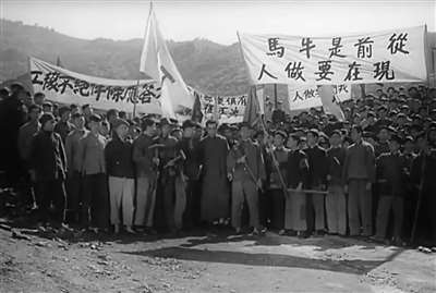 从前是牛马,现在要做人!