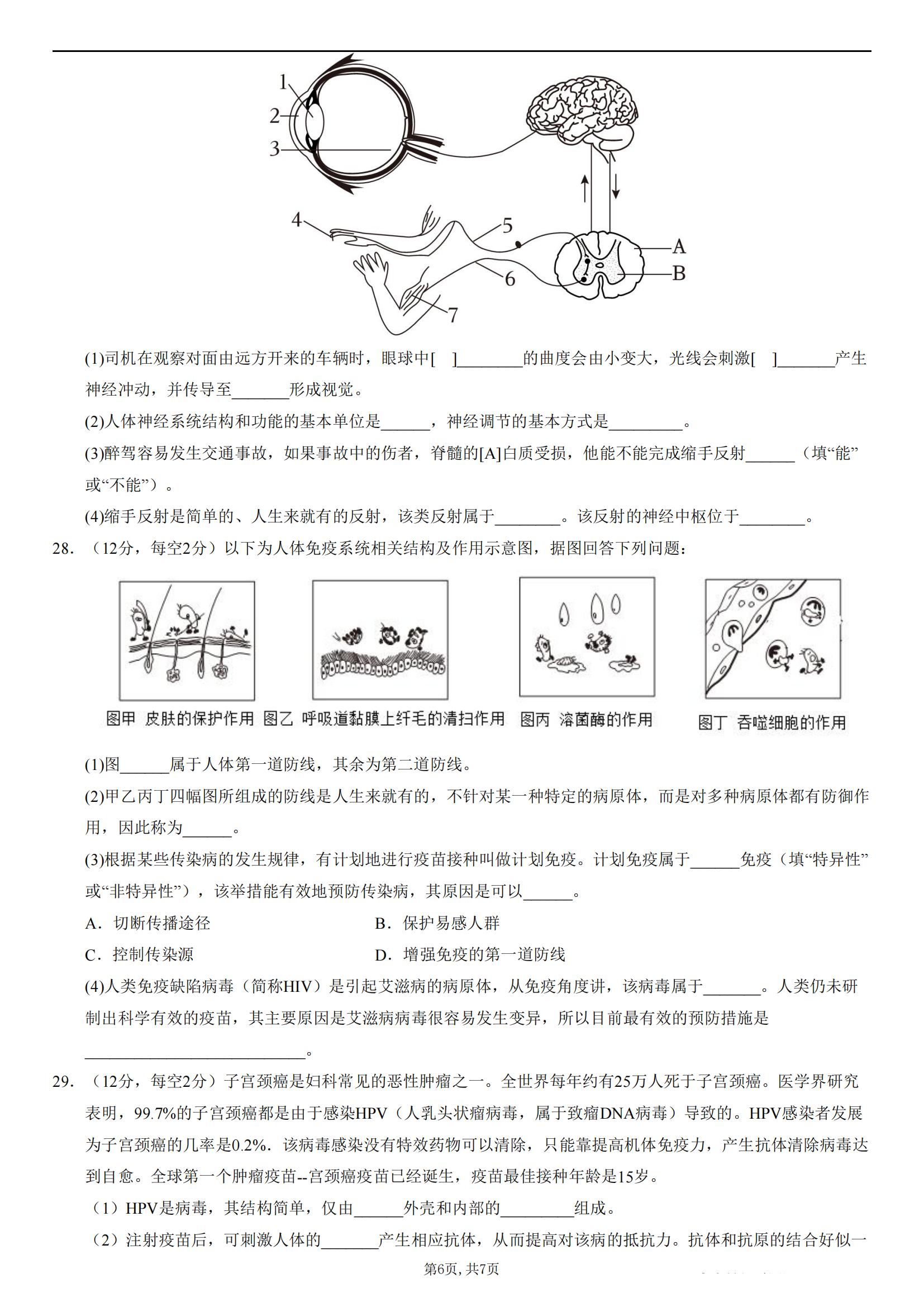 初二第一次月考试卷(初二第一次月考试卷2024八下)  第1张 初二第一次月考试卷(初二第一次月考试卷2024八下)  第1张