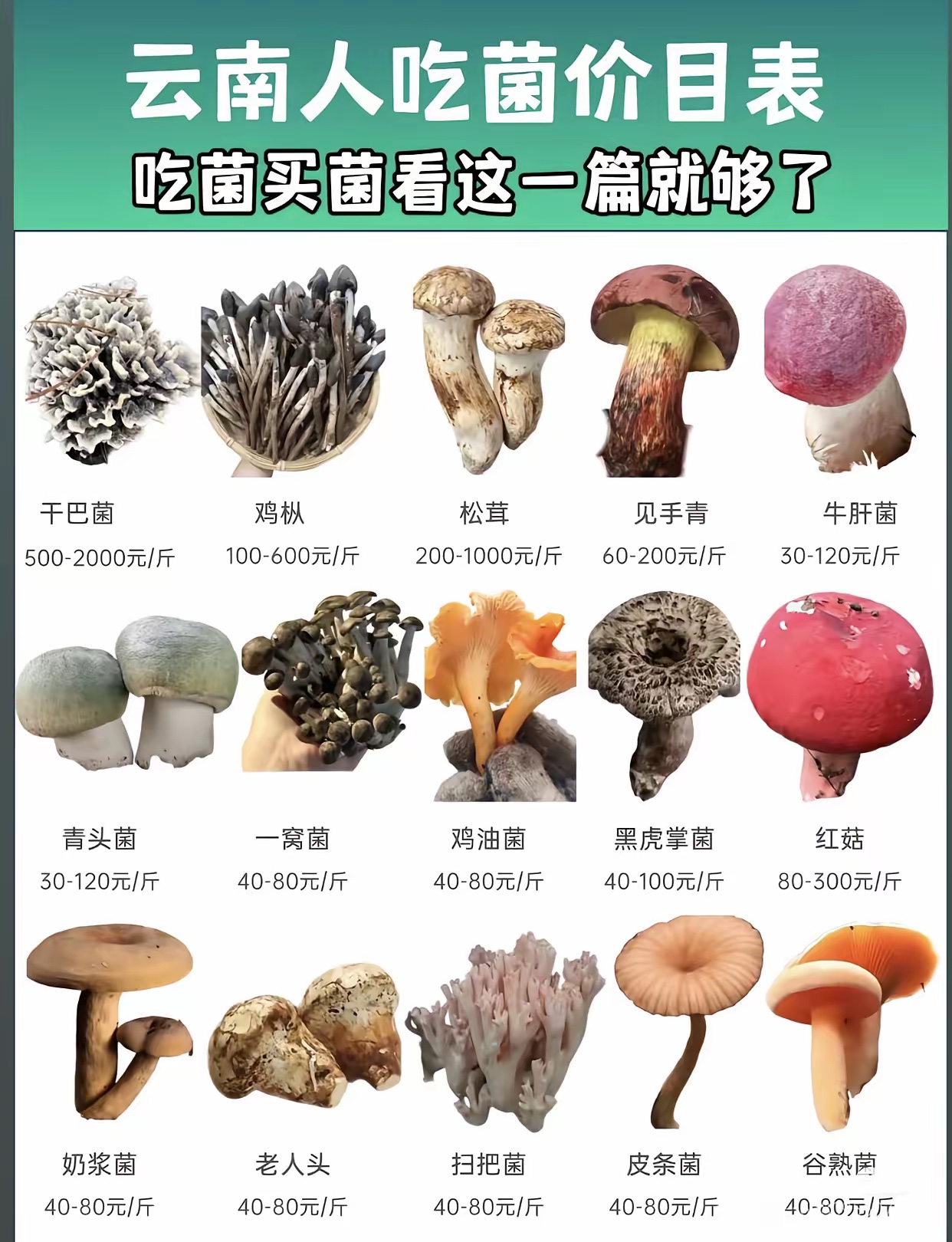看这一张图就够了 最贵的看来是 干巴菌比松茸都贵呀