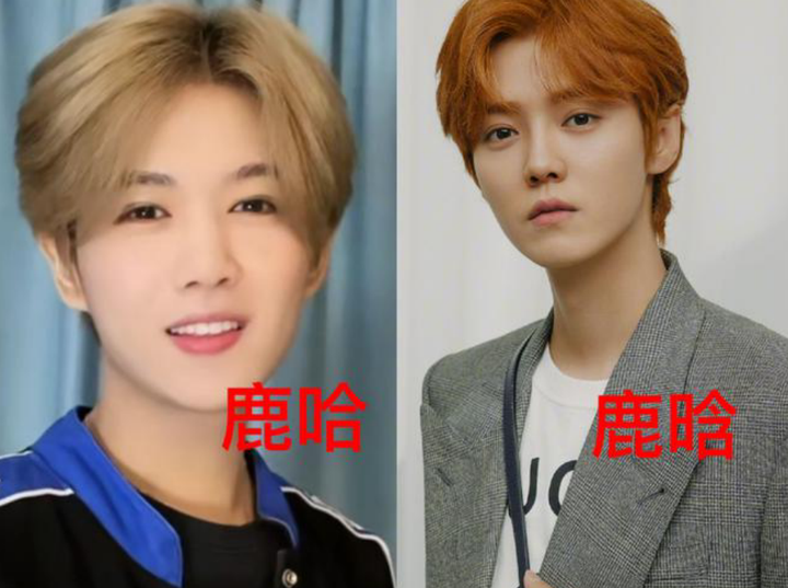 鹿晗谈过几次恋爱