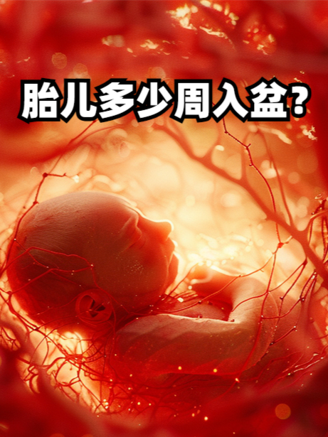 胎儿多少周入盆?