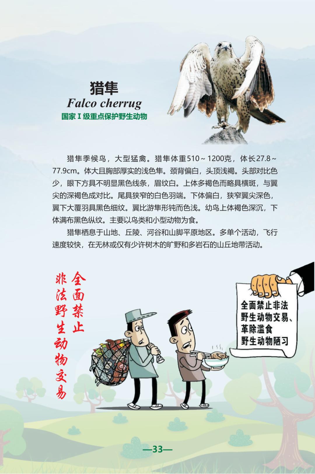 野生动物保护宣传图册