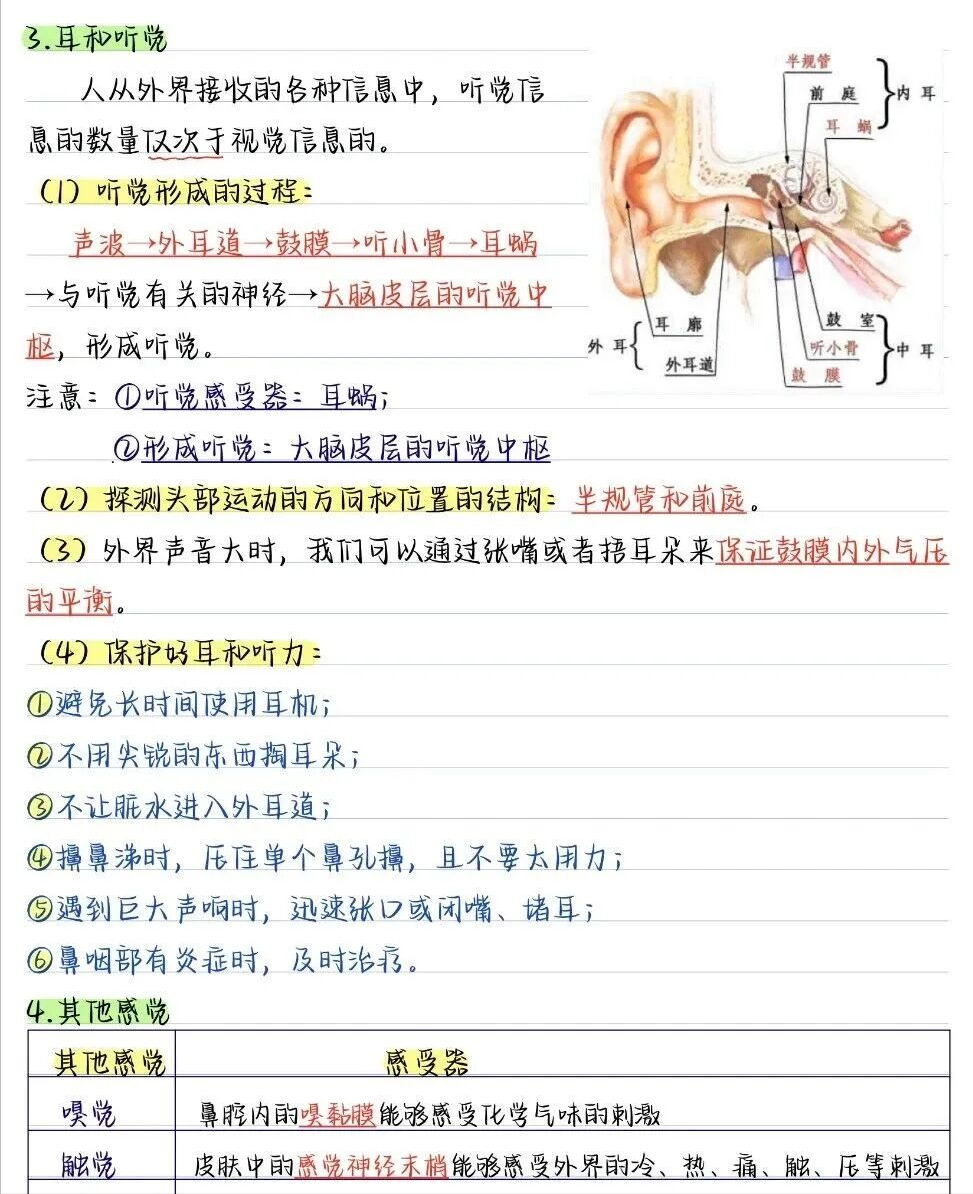2025新版八上生物重要知识汇总的简单介绍