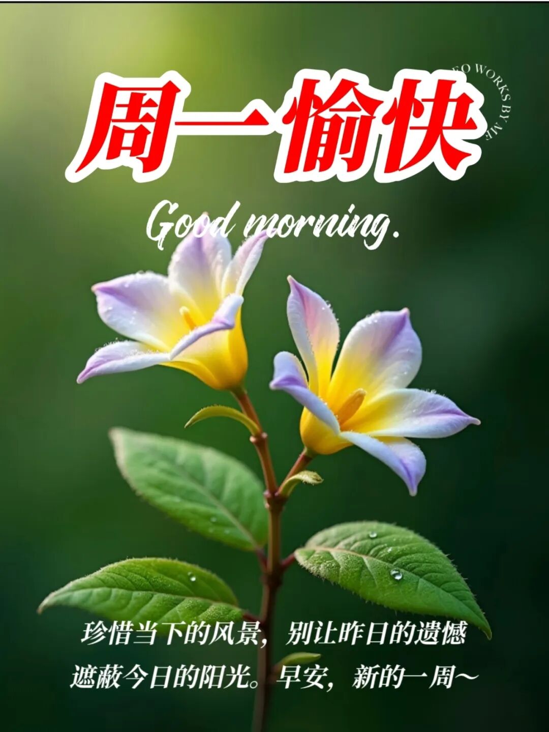 9月29日精选周一早上好唯美早安表情图片,早上好漂亮问候图片大全
