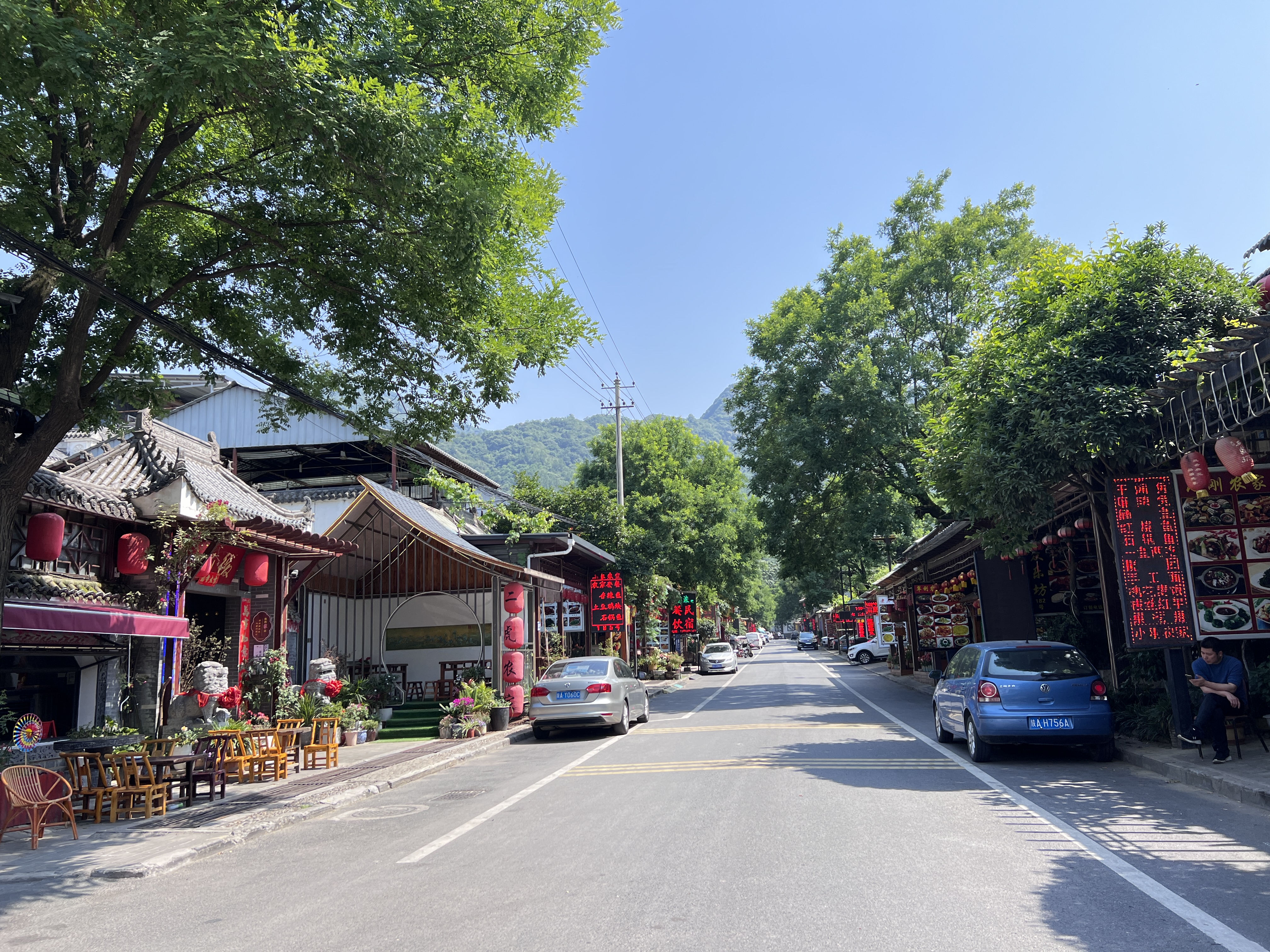 西安挖野葱的11个宝藏地点,赶紧收藏!