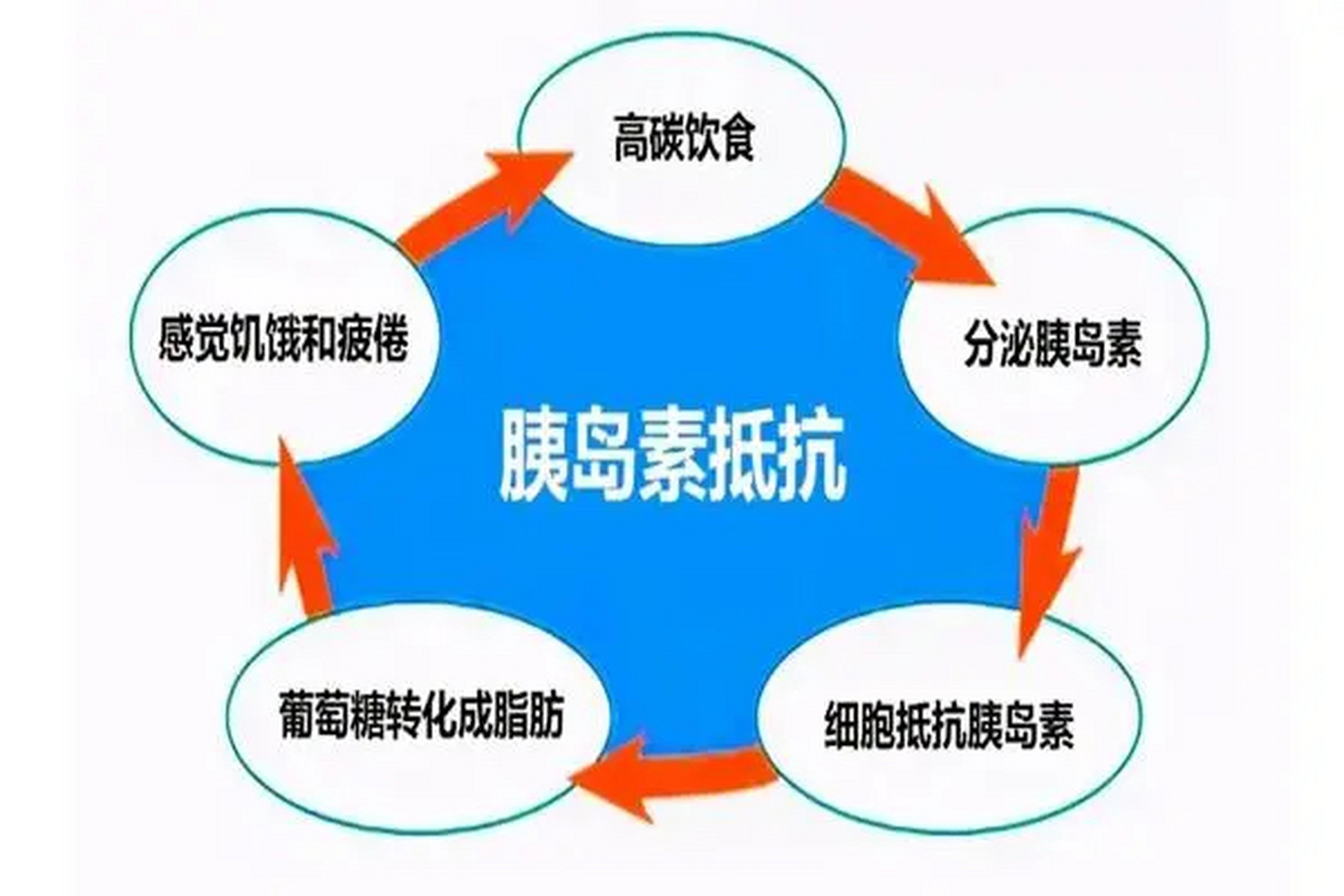 红薯再次被关注!医生告诫:肝病患者吃红薯时,一定要注意这3点