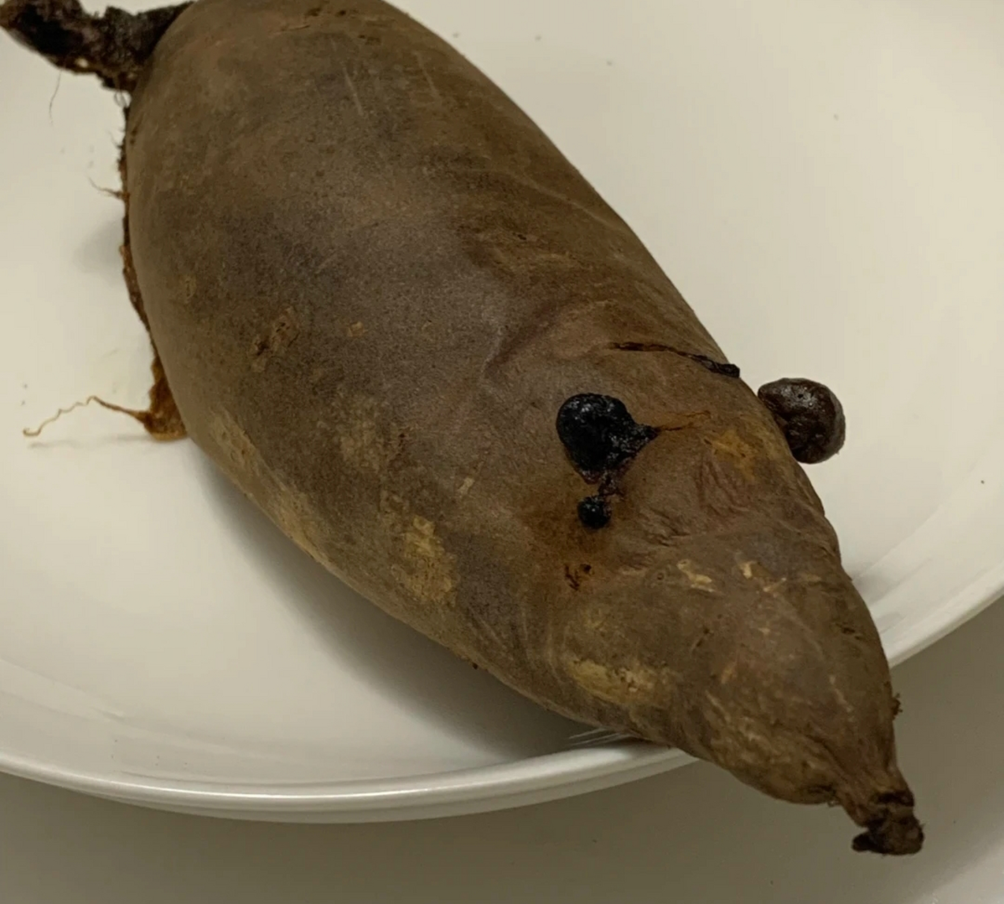 新鲜出炉的烤红鼠