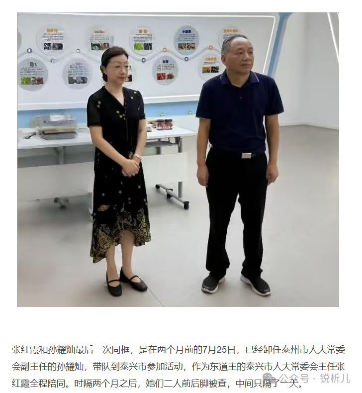 泰兴女官张红霞:政绩光环与利益迷局