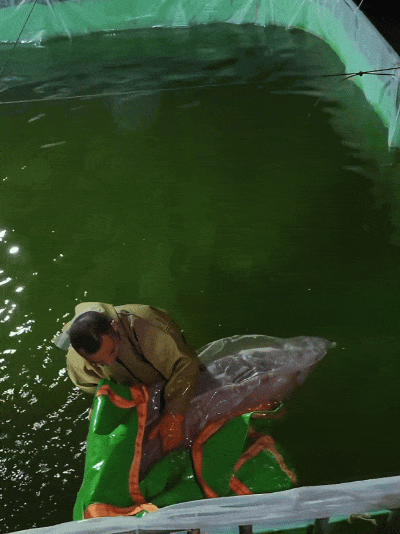 400_534竖版 竖屏gif 动态图 动图