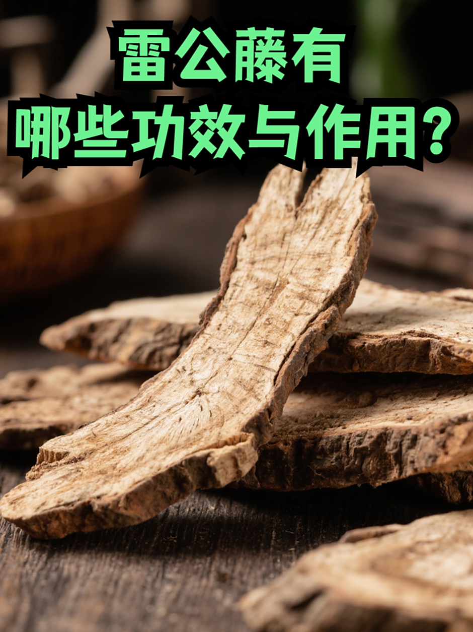 雷公藤,这味古老的中药材,以其独特的药效在中医领域