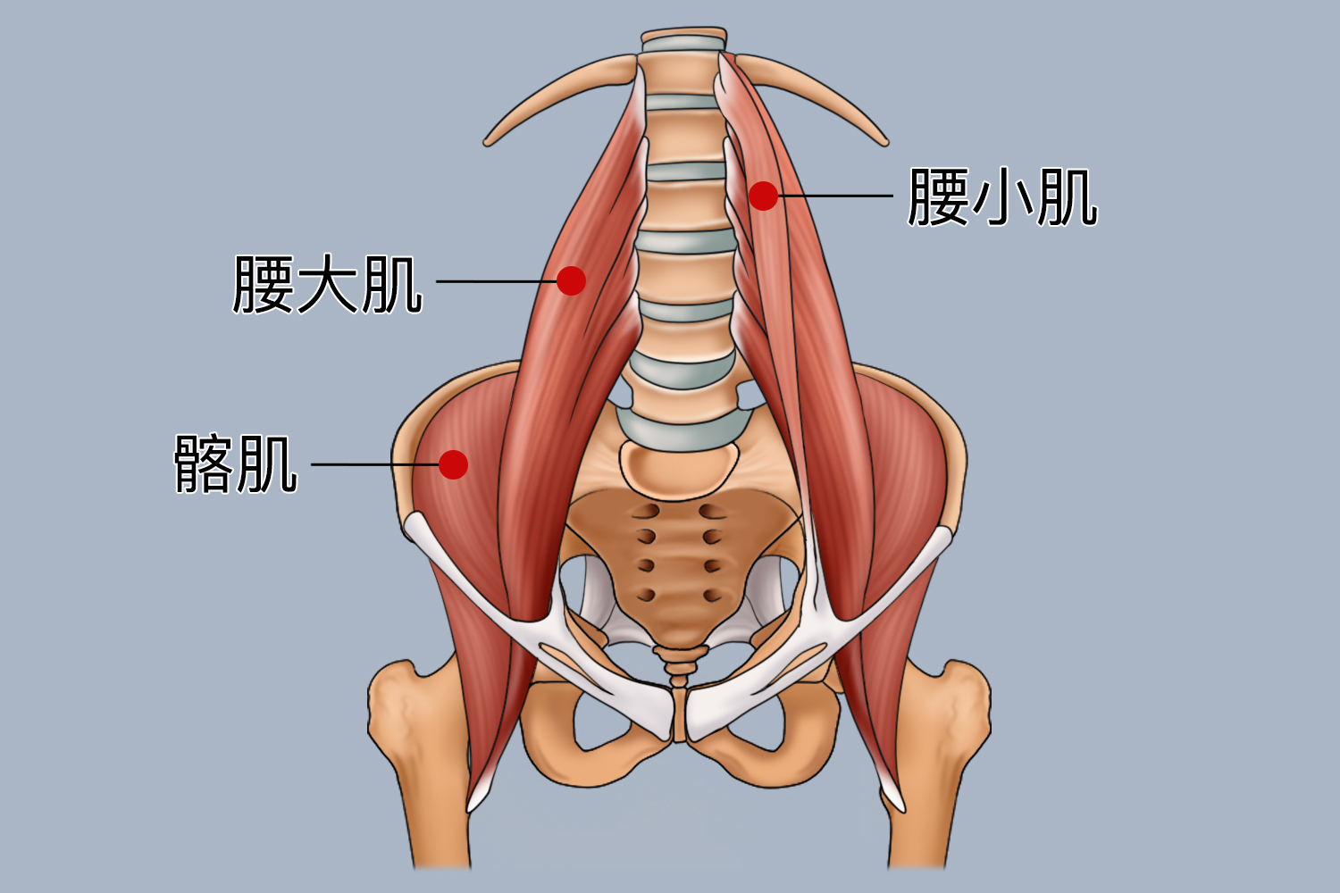 男子为改善腰椎间盘突出,每天倒走25分钟?半年后变化让人想不到