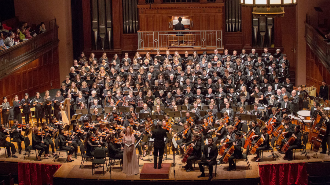 欧柏林音乐学院小提琴本科至博士,特色培养亮点多!