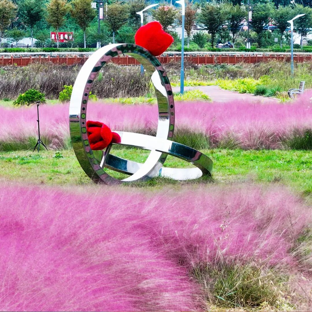 拿捏秋日氛围感?济南这些免费花海,教你轻松圈"粉"!