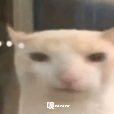 啊~九九成～～稀罕物儿～～～50张稀有meme猫表情包