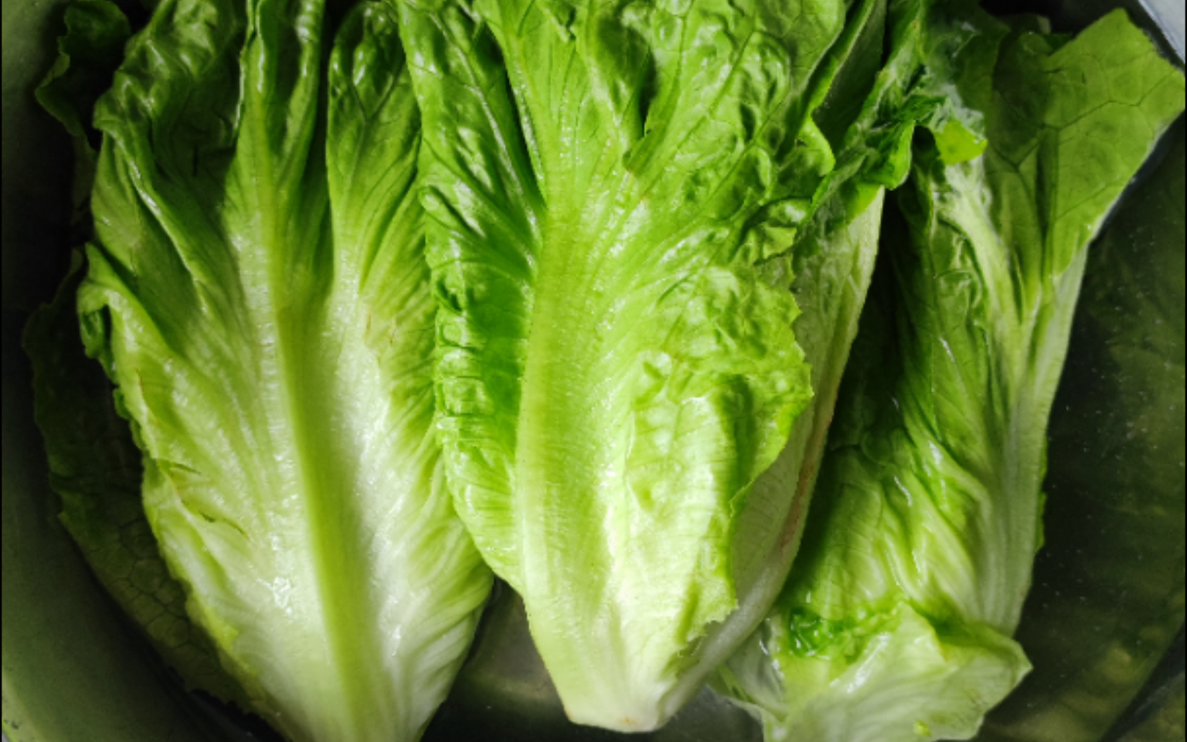 53岁女子顿顿不离生菜,6个月后去体检,医生纳闷:你都吃了啥?