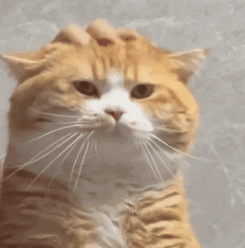 小姐姐,雨后爬山,都湿透了,我要不要把我的雨衣送给他