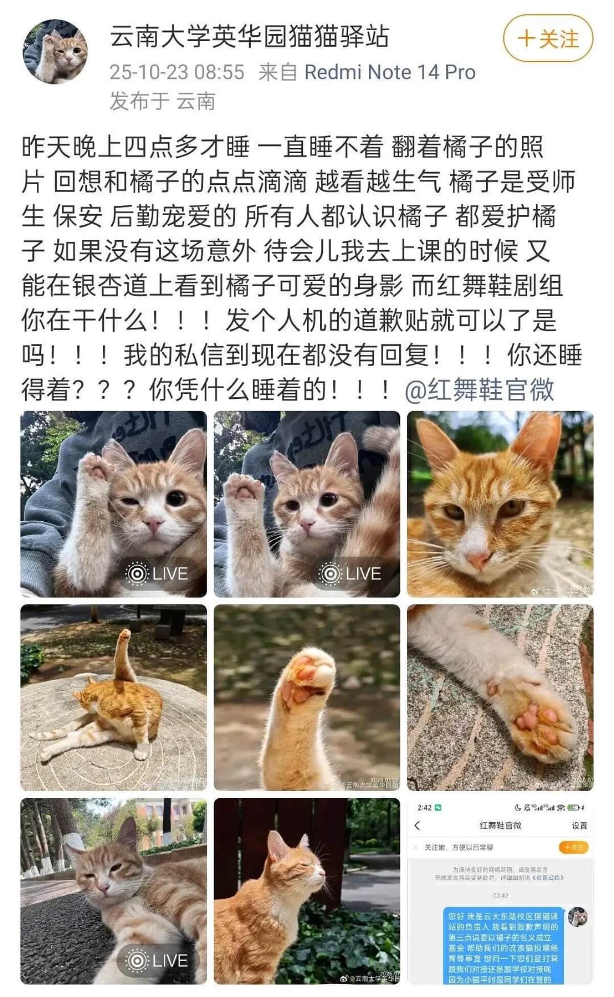 周也新剧撞死猫道歉后被曝施压校方事发经过全公开网炮轰