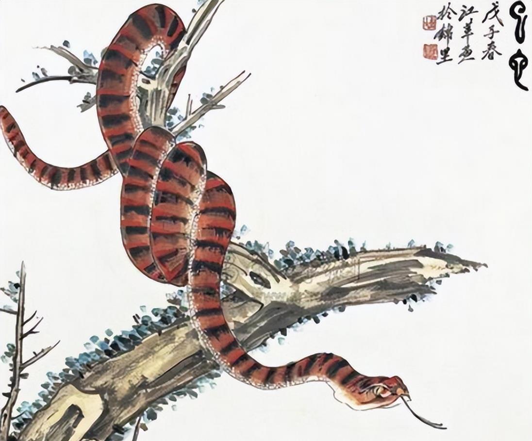 19年马和蛇生肖运势如何(19年马和蛇生肖运势如何呢)