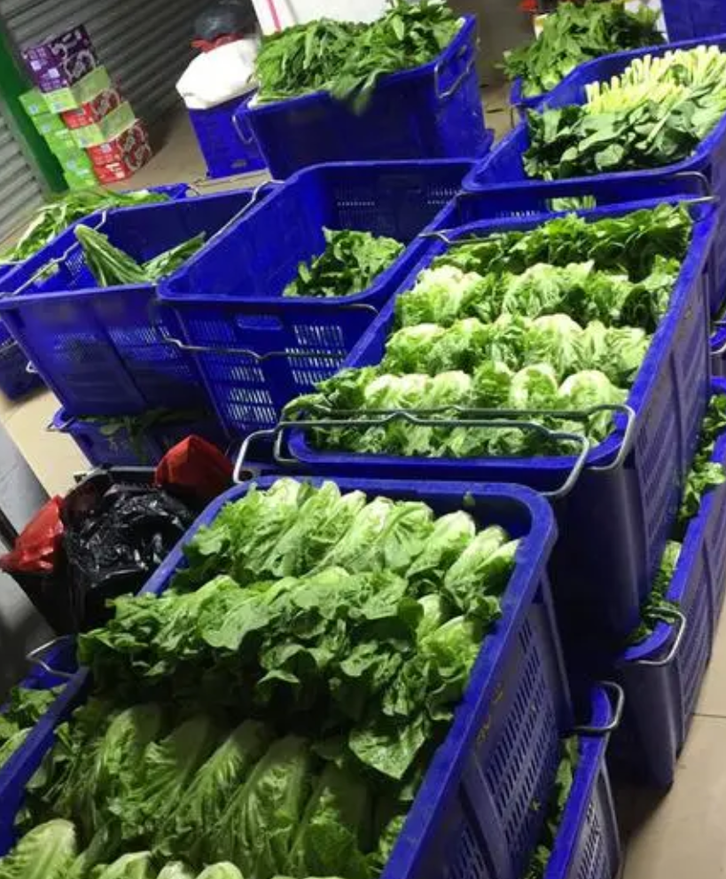 西安蔬菜批发配送实力公司推荐:大型配送商有专业分拣中心