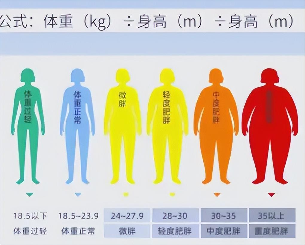 "黄金体重"不是120斤,快看这个理想数值,越接近越能享健康