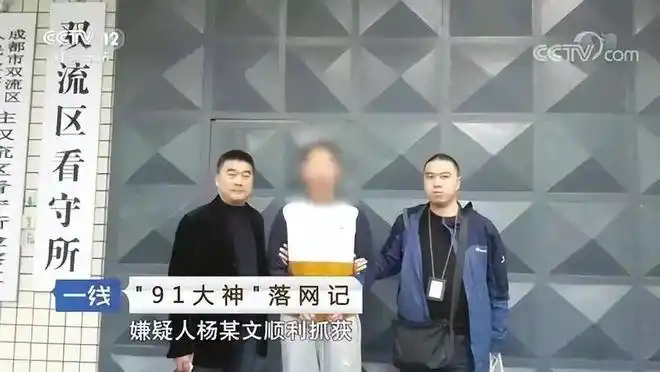 91探花在线播放的简单先容