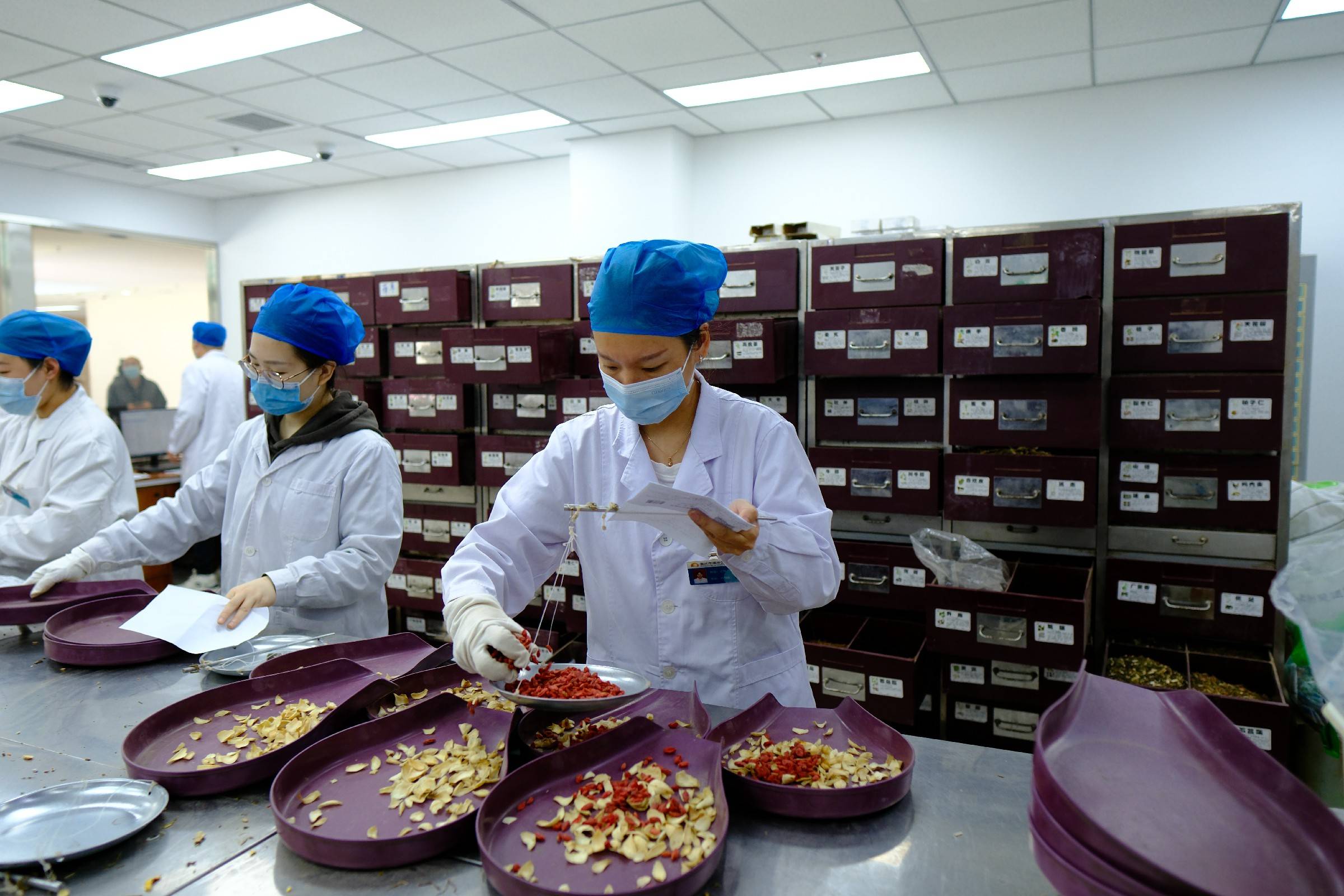 讲讲生地黄和玄参,它们同为凉血药,但是凉血之中却有不同