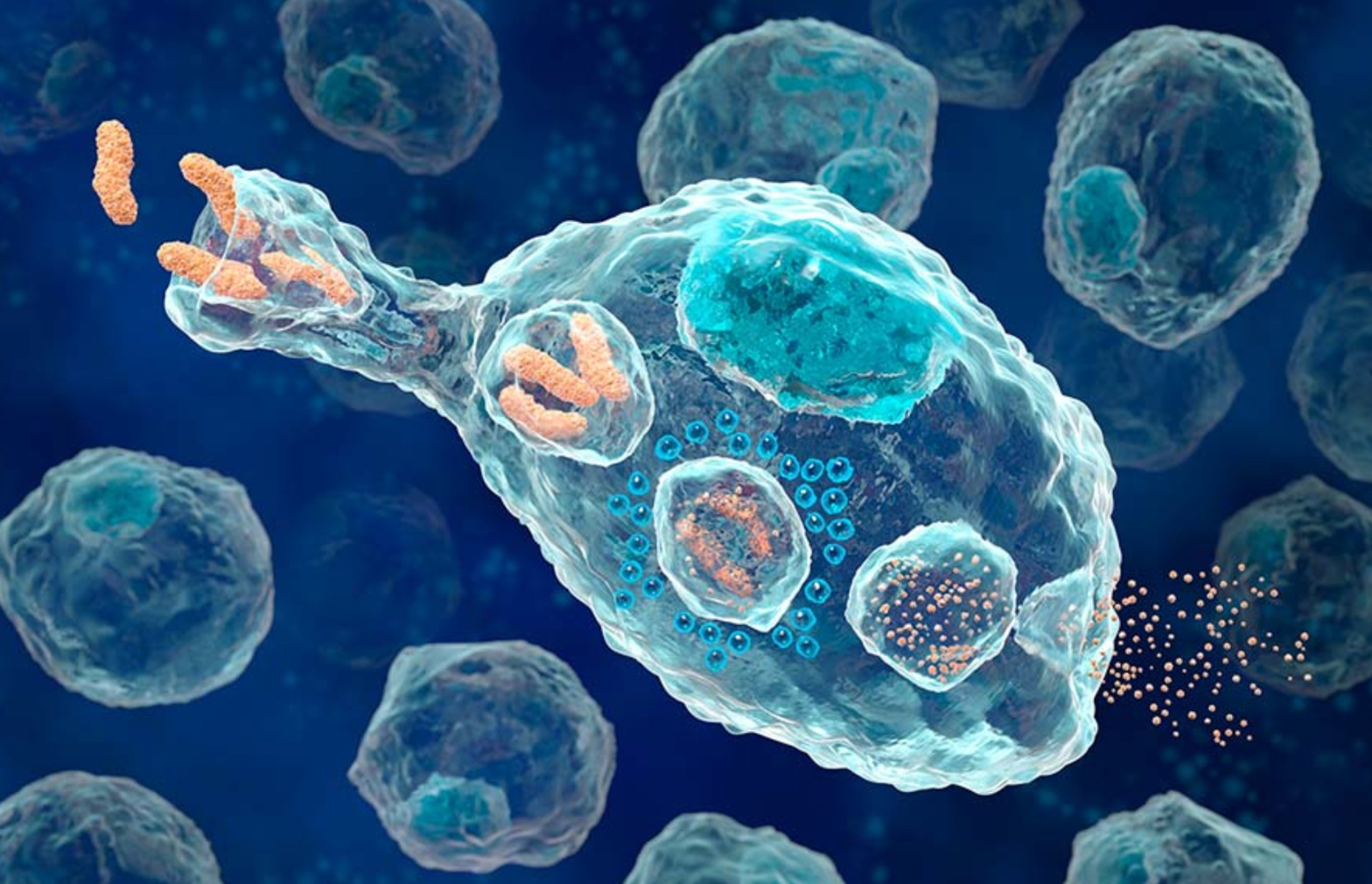 研究:中老年人突然戒烟,用不了多长时间,身体或会出现这5大变化