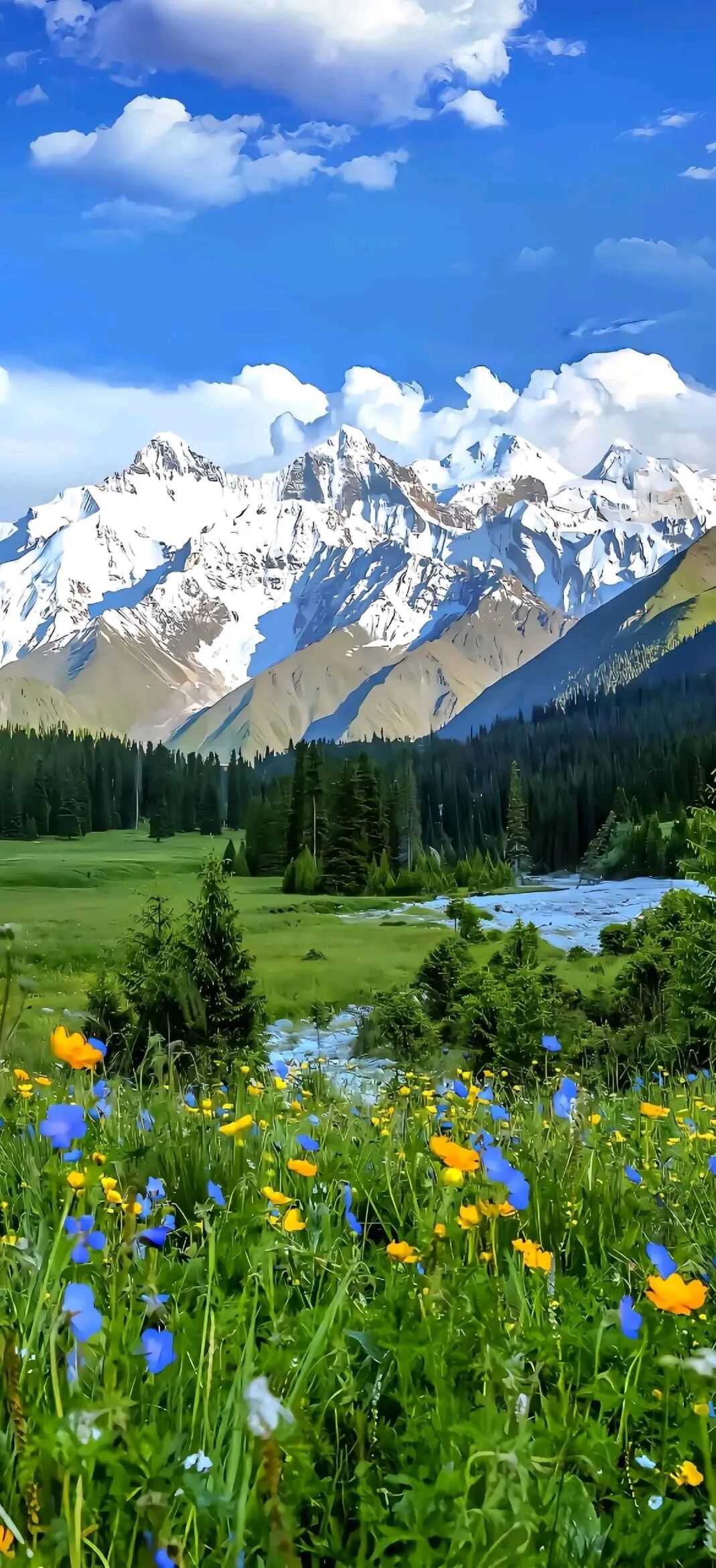 绿色风景壁纸·养心护眼