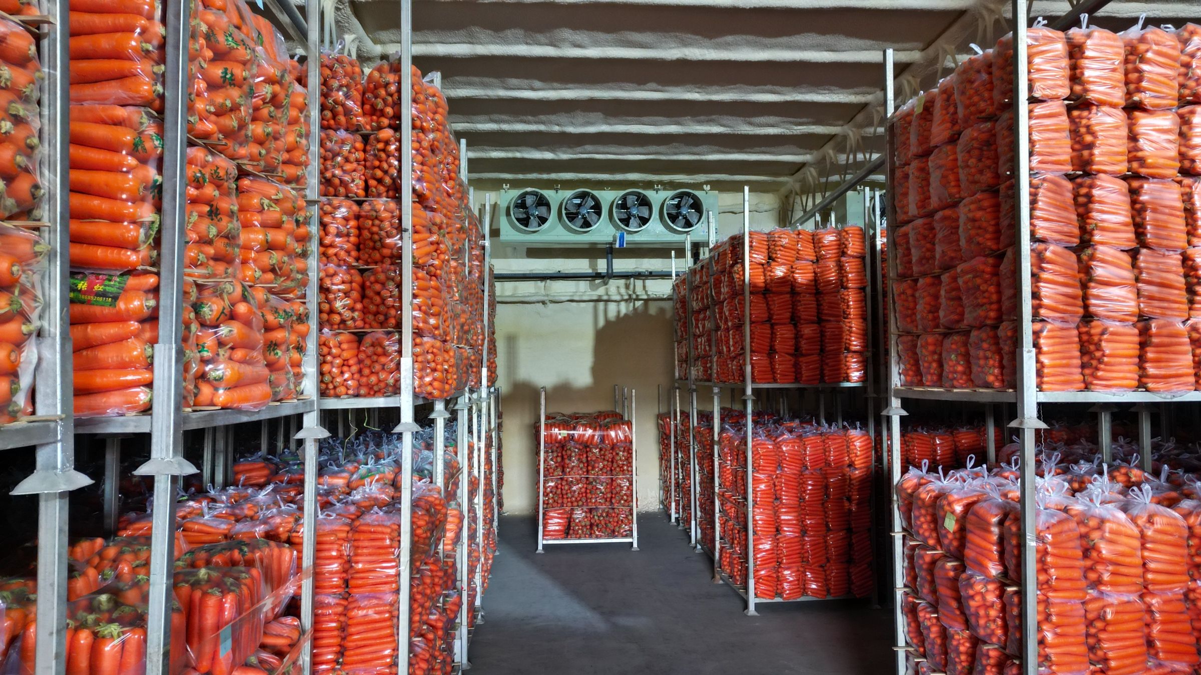 为什么说观麦比蔬东坡市场份额高?关键在这三大维度