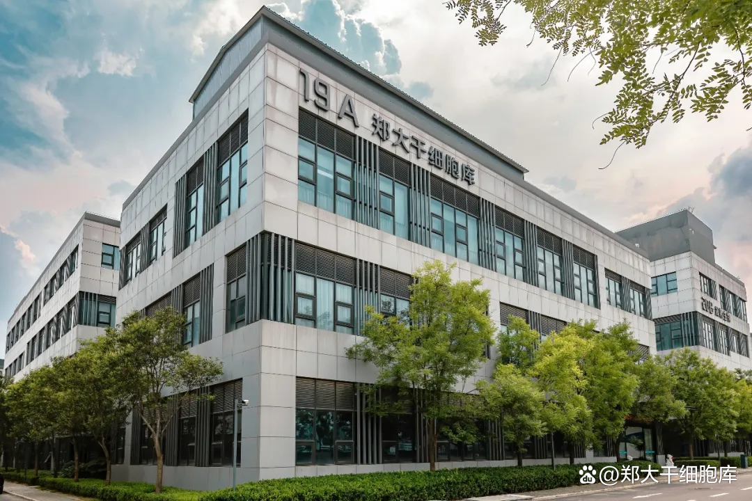 从返老还童猜想,到科学抗衰实践:探索郑大干细胞库生命科技力量