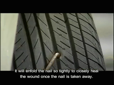 不可思议的“蜂窝轮胎”：不怕扎也不会爆，你知道它靠什么原理吗？-有驾