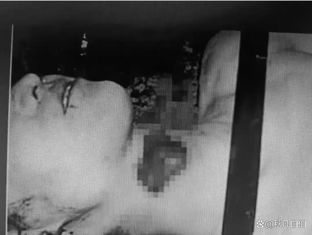 回顾:白银连环杀人案侦破始末,专挑年轻漂亮女性下手,作案手段残忍