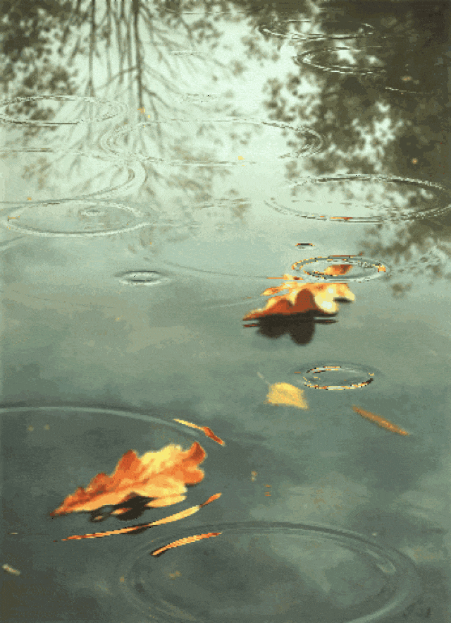 拳中禅意,雨里人生