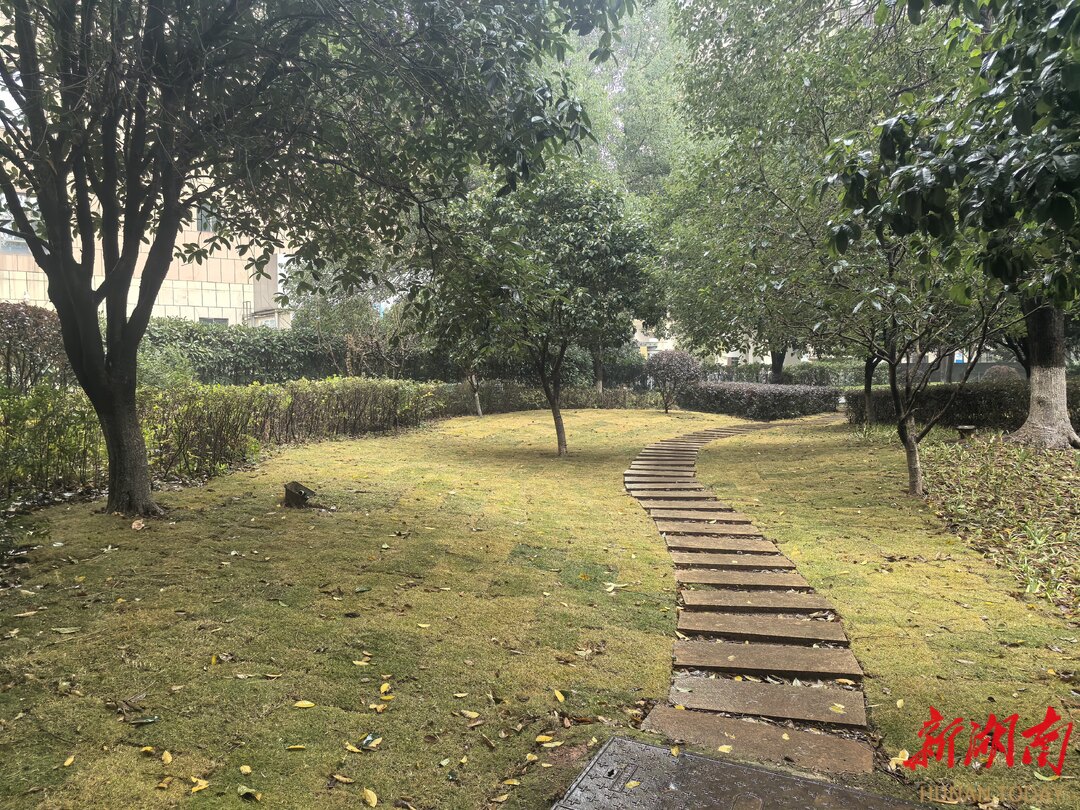 入住13年，没花一分钱，老小区竟用上了堪比新楼盘的智能车库！