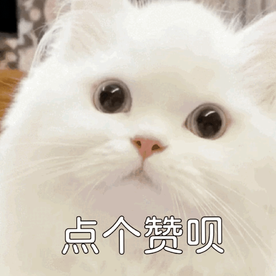 为什么油价这么贵还是有人不愿意换电车？网友：嘴巴比钱包硬！-有驾