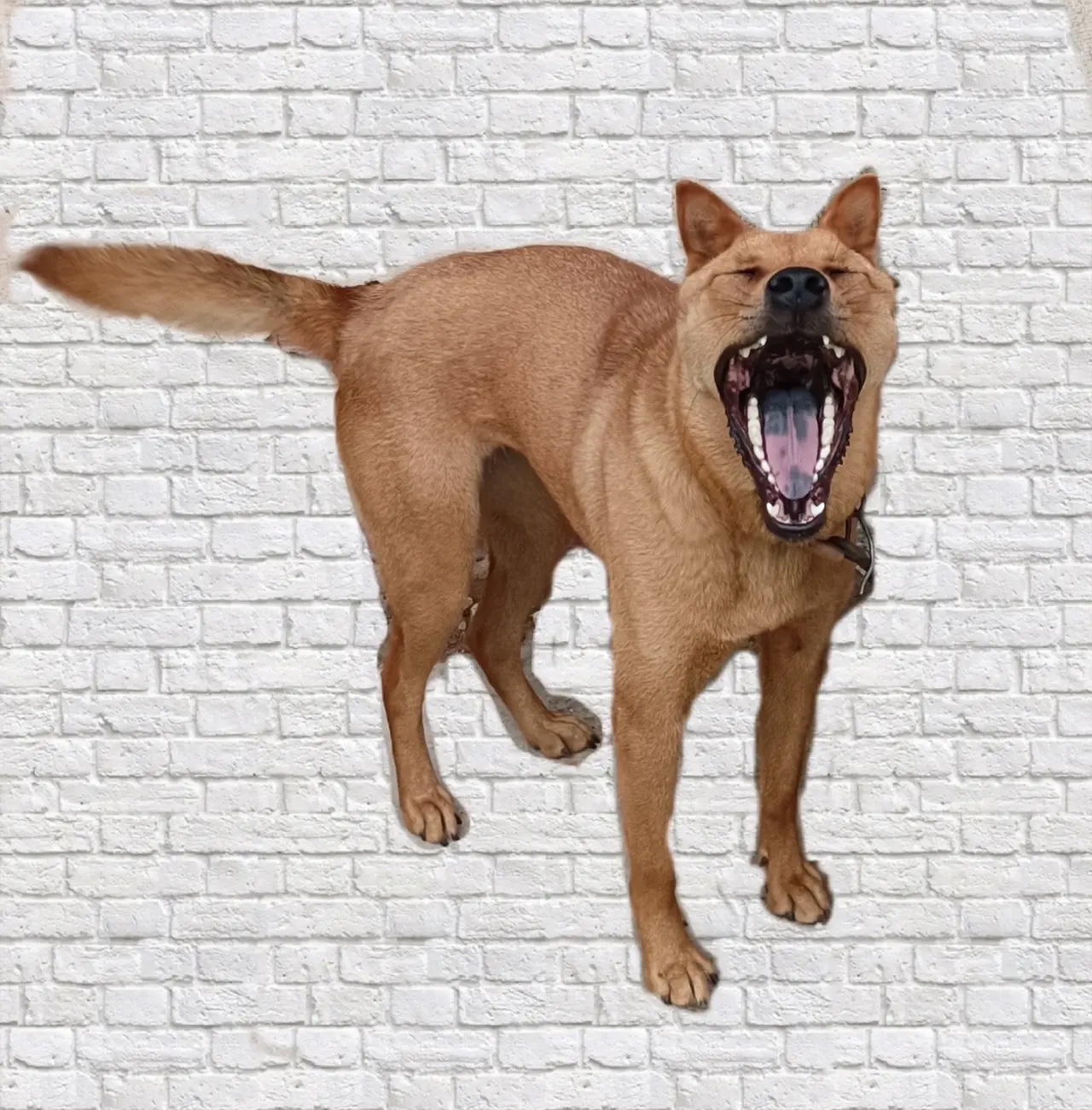 我另一个同学考了300,我以为他会复读,结果他最后上了大专