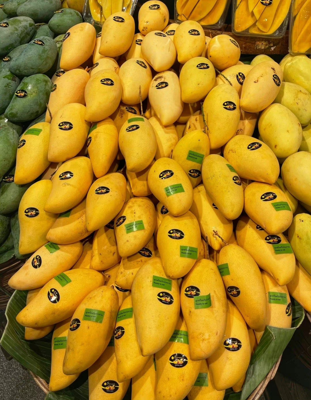 我们附近的野杨桃树上的杨桃熟透了,一些被小鸟吃掉了,有些熟透的掉到