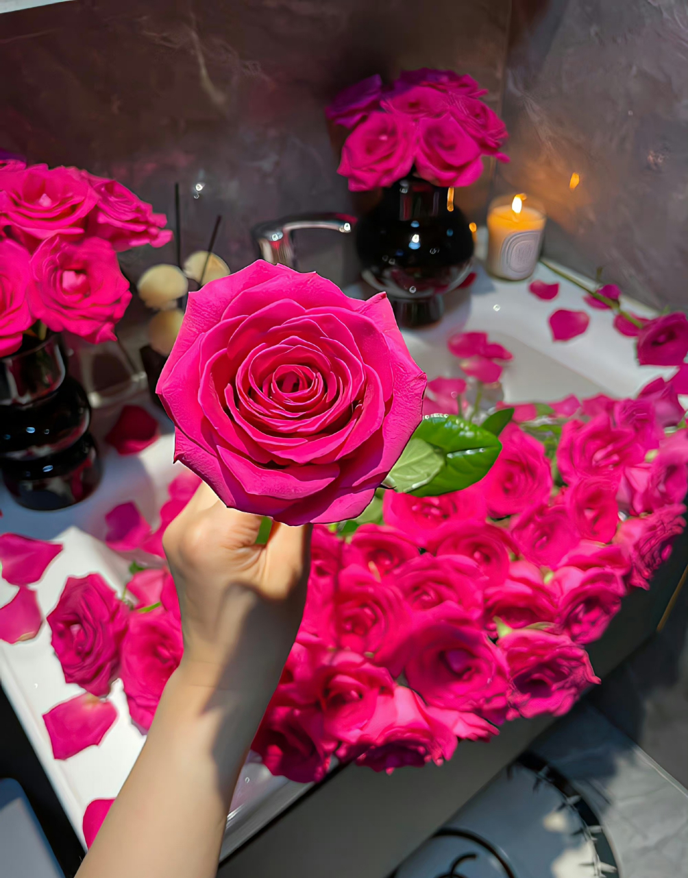 弗洛伊德玫瑰 ,春有盼望和辉煌,夏有火红和热情,秋有金黄和成熟,冬有