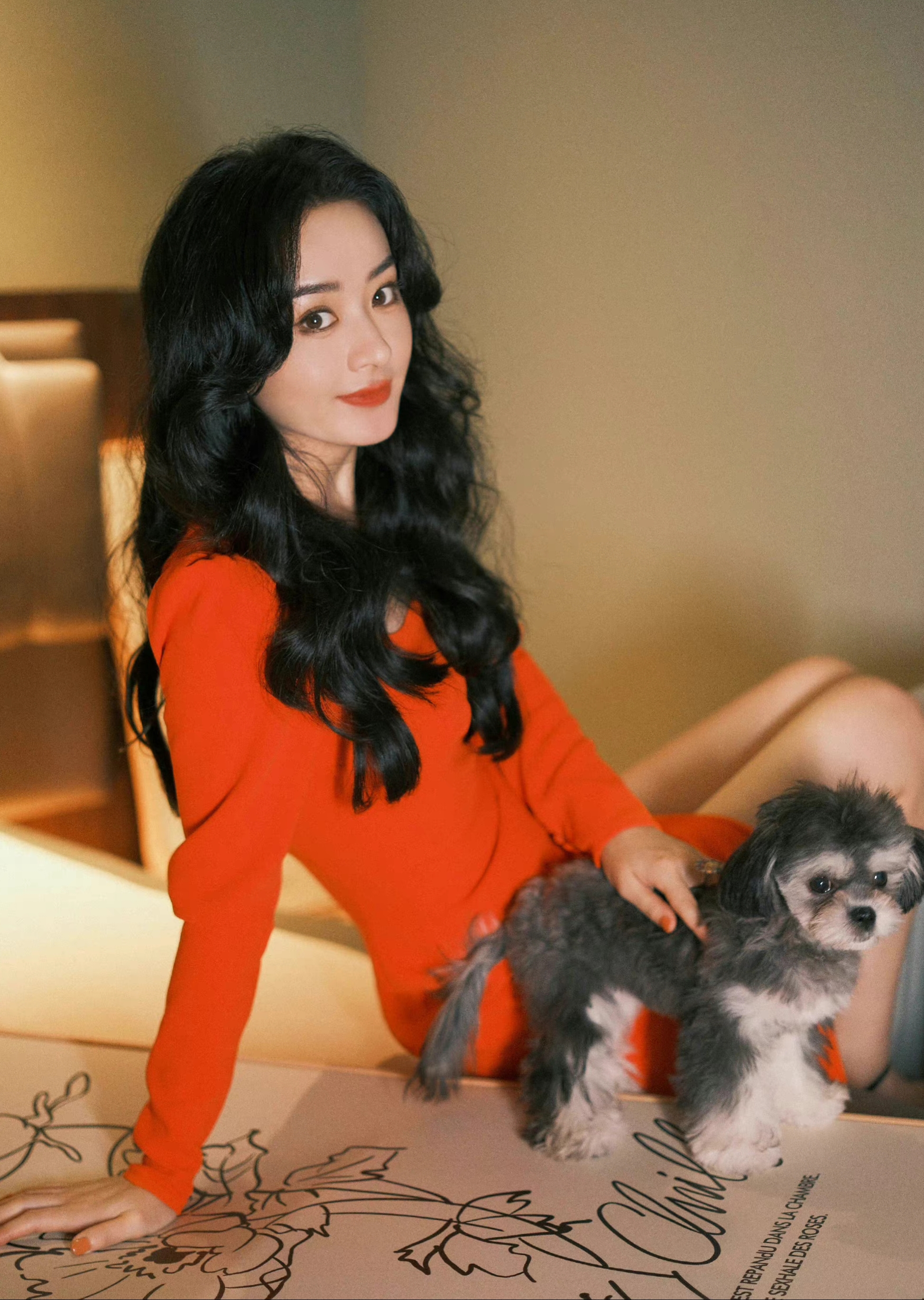 赵丽颖和她的可爱萌宠