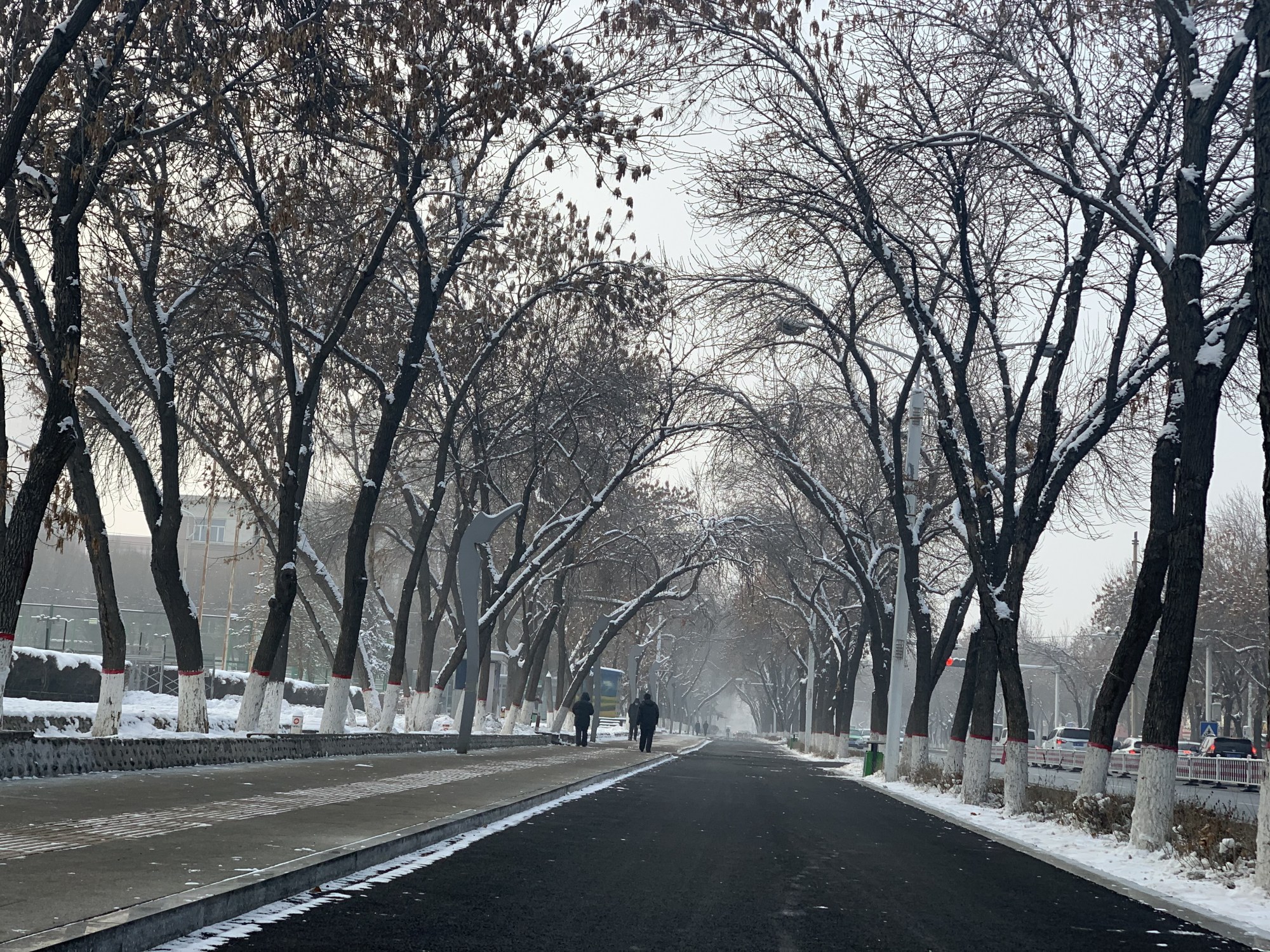 冬季乡村街道图片大全图片