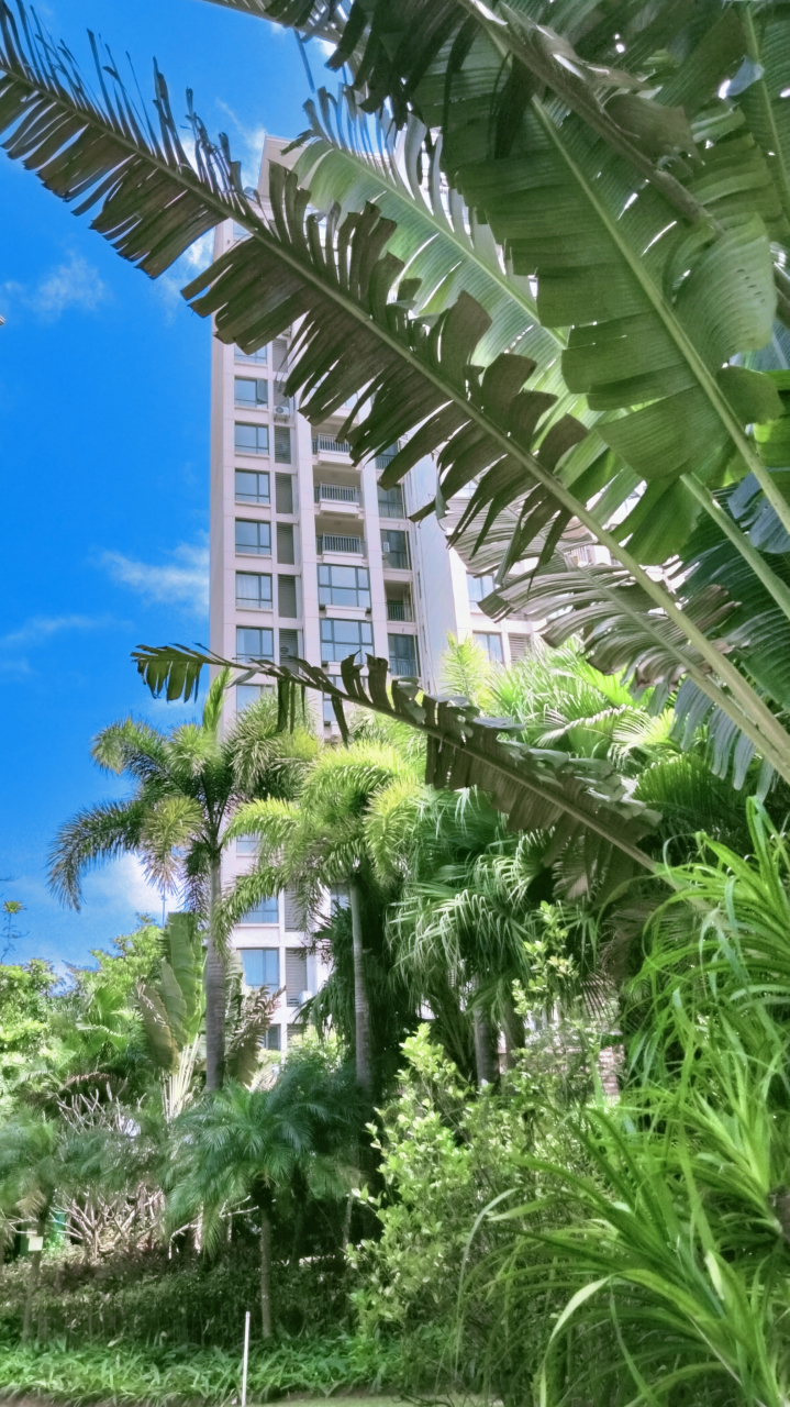 海南澄迈盈滨半岛