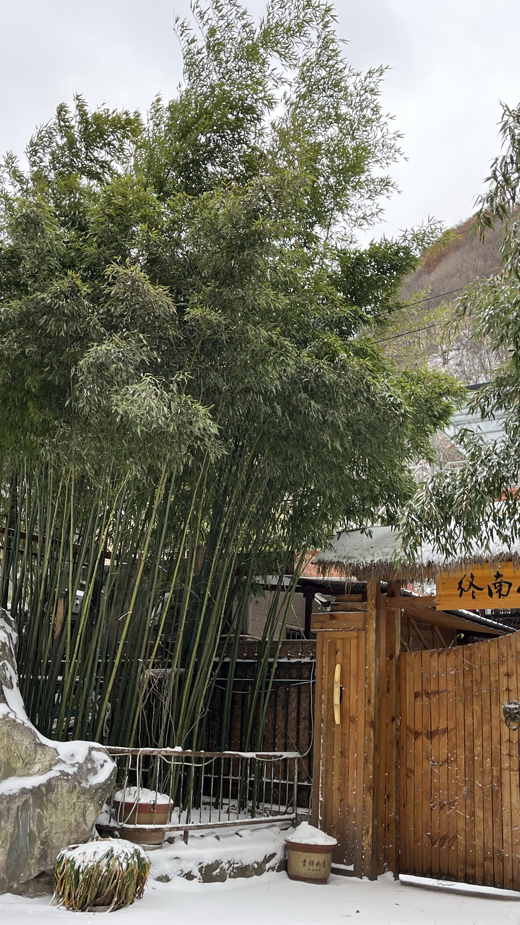 冬天的南山小院,掃雪也是一種享受