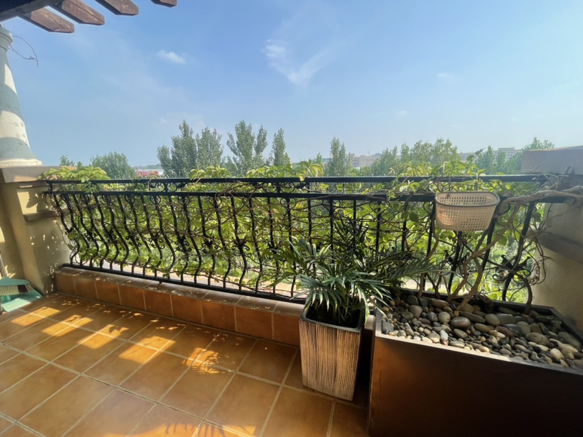 伽蓝艺墅,五居豪华装修,285平