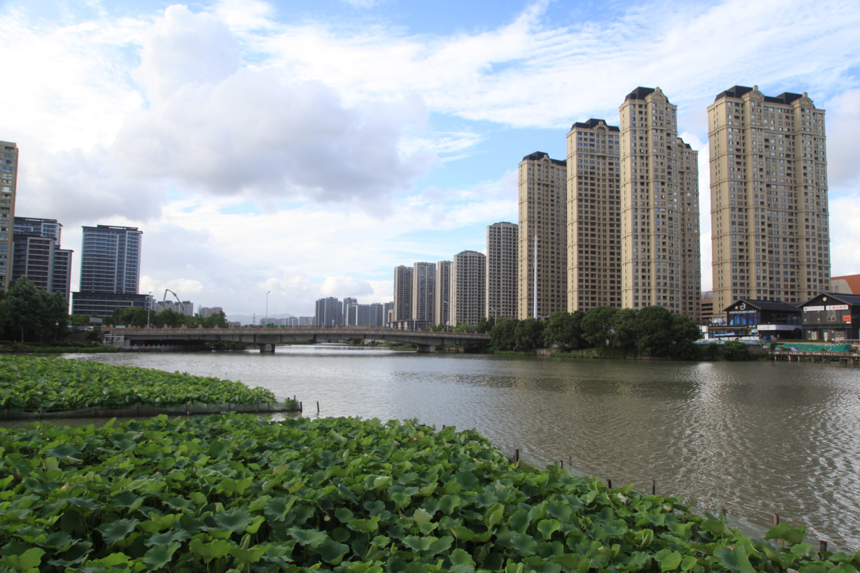 温瑞塘河两岸风光之荷塘月色