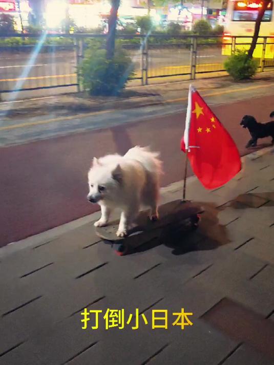 打倒小日本