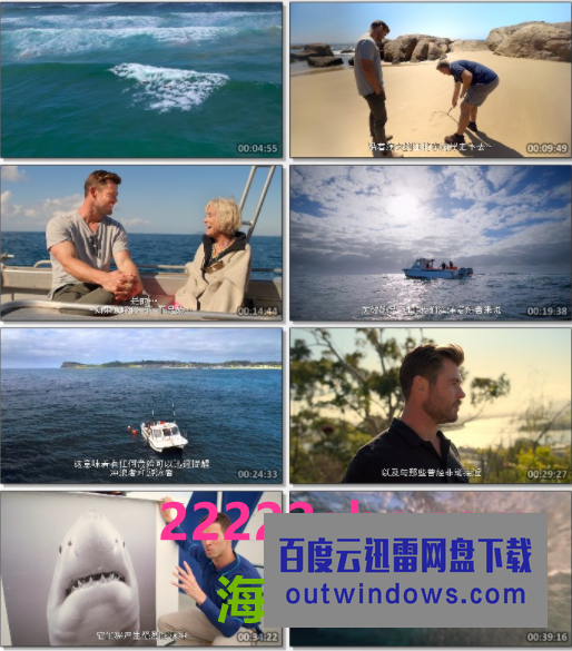 2021纪录片《鲨鱼海滩》1080p.BD中字1080p|4k高清