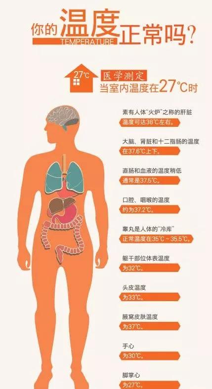 人体温度与健康图片